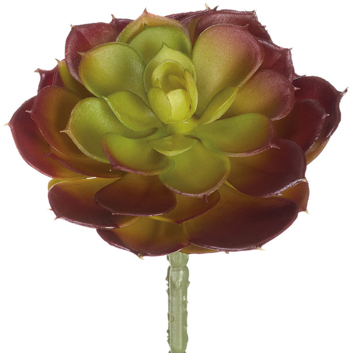 5.75"Hx4.5"W Cabbage Echeveria Artificial Stem Pick -Burgundy (Pack of 12) - CE3013-BU