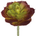 5.75"Hx4.5"W Cabbage Echeveria Artificial Stem Pick -Burgundy (Pack of 12) - CE3013-BU