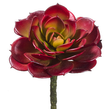 maroon succulent 5.75" x 4.5" Cabbage Echeveria Pick | Burgundy | Artificial | 12 pieces