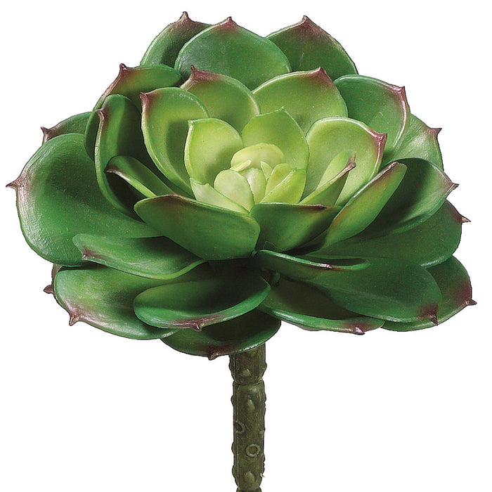 5.75"Hx4.5"W Cabbage Echeveria Artificial Stem Pick -2 Tone Green (Pack of 12) - CE3013-GR/TT