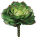 5.75"Hx4.5"W Cabbage Echeveria Artificial Stem Pick -2 Tone Green (Pack of 12) - CE3013-GR/TT