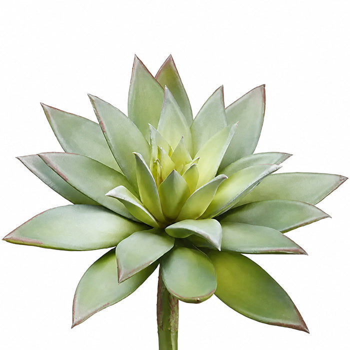 9"Hx7"W Echeveria Artificial Stem Pick -Green/Gray (Pack of 12) - CE3197-GR/GY