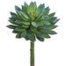 8"Hx5.5"W Echeveria Artificial Stem Pick -Green/Gray (Pack of 12) - CE3235-GR/GY