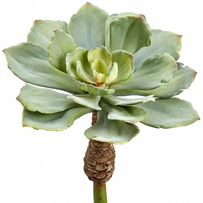 11"Hx10"W PE Soft-Touch Echeveria Artificial Stem Pick -Green (Pack of 8) - CE3792-GR