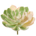 6"Hx9"W Real Touch Echeveria Artificial Stem Pick -Green/Blush (pack of 6) - CE4199-GR/BS