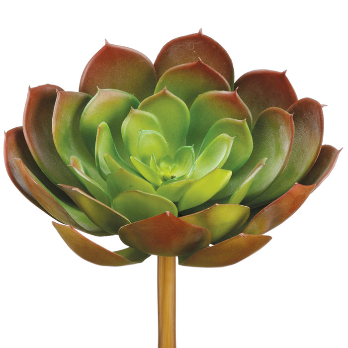 8.3" Real Touch Echeveria Artificial Stem Pick -Green/Burgundy (pack of 12) - CE5010-GR/BU