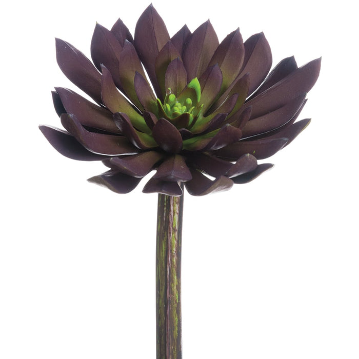 6"Hx4.75"W Real Touch Echeveria Artificial Stem Pick -Plum/Green (Pack of 12) - CE7448-PL/GR