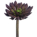 6"Hx4.75"W Real Touch Echeveria Artificial Stem Pick -Plum/Green (Pack of 12) - CE7448-PL/GR