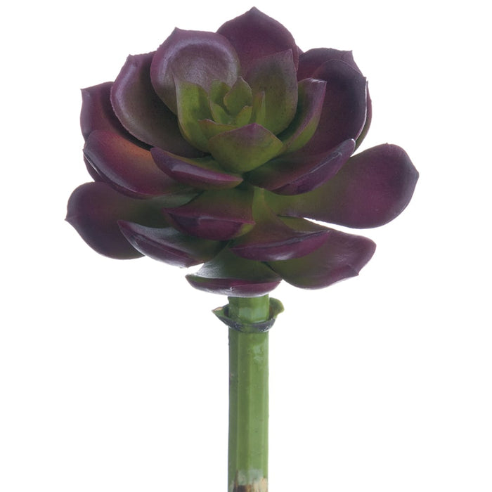 5"Hx2.5"W Real Touch Echeveria Artificial Stem Pick -Burgundy/Green (Pack of 24) - CE8227-BU/GR
