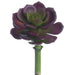 5"Hx2.5"W Real Touch Echeveria Artificial Stem Pick -Burgundy/Green (Pack of 24) - CE8227-BU/GR