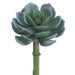 5"Hx2.5"W Real Touch Echeveria Artificial Stem Pick -Green/Gray (pack of 24) - CE8227-GR/GY