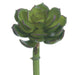 5"Hx2.5"W Real Touch Echeveria Artificial Stem Pick -Green/Plum (Pack of 24) - CE8227-GR/PL