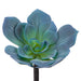 6" Artificial Echeveria Stem Pick -Blue/Green (pack of 12) - CE9221-BL/GR