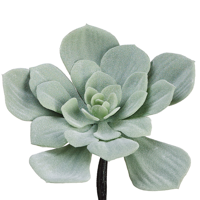 7.5" Real Touch Echeveria Artificial Stem Pick -Frosted Gray (pack of 12) - CE9222-GY/FS