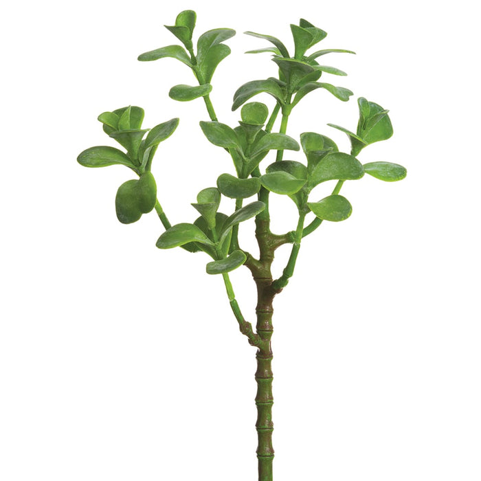 13" Real Touch Artificial Jade Plant Stem -Green (pack of 12) - CJ1870-GR