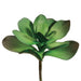 12" Kalanchoe Artificial Plant -Green (pack of 6) - CK3312-GR