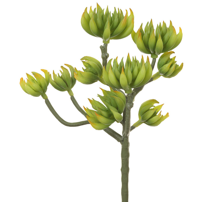 9.4" Artificial Spike Aeonium Stem Pick -Green/Yellow (pack of 12) - CKA020-GR/YE