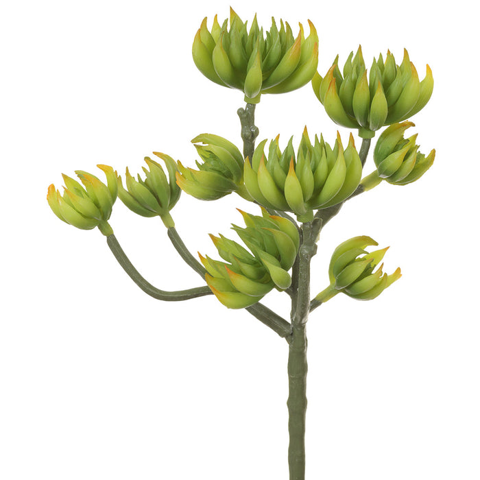 9.4" Artificial Spike Aeonium Stem Pick -Green/Yellow (Pack of 12) - CKA020-GR/YE