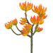 9.4" Artificial Spike Aeonium Stem Pick -Orange/Yellow (Pack of 12) - CKA020-OR/YE