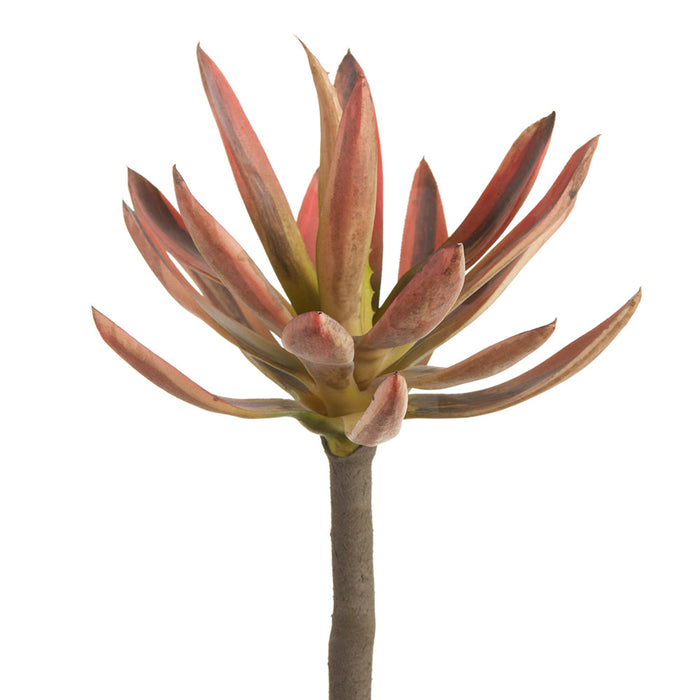 9.5" Agave Cactus Artificial Stem Pick -Coral/Green (Pack of 6) - CKA085-CO/GR