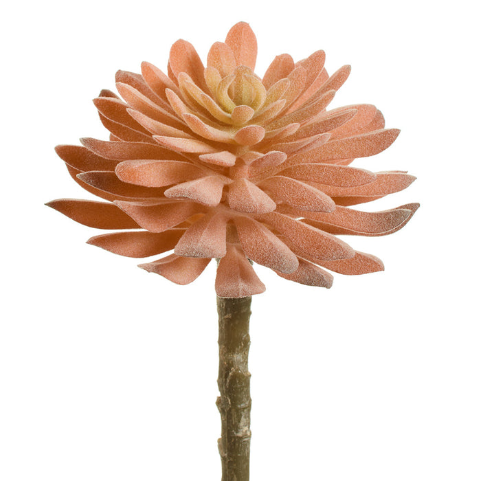 6" Aeonium Succulent Artificial Stem Pick -Coral (Pack of 12) - CKA087-CO