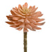 6" Aeonium Succulent Artificial Stem Pick -Coral (Pack of 12) - CKA087-CO