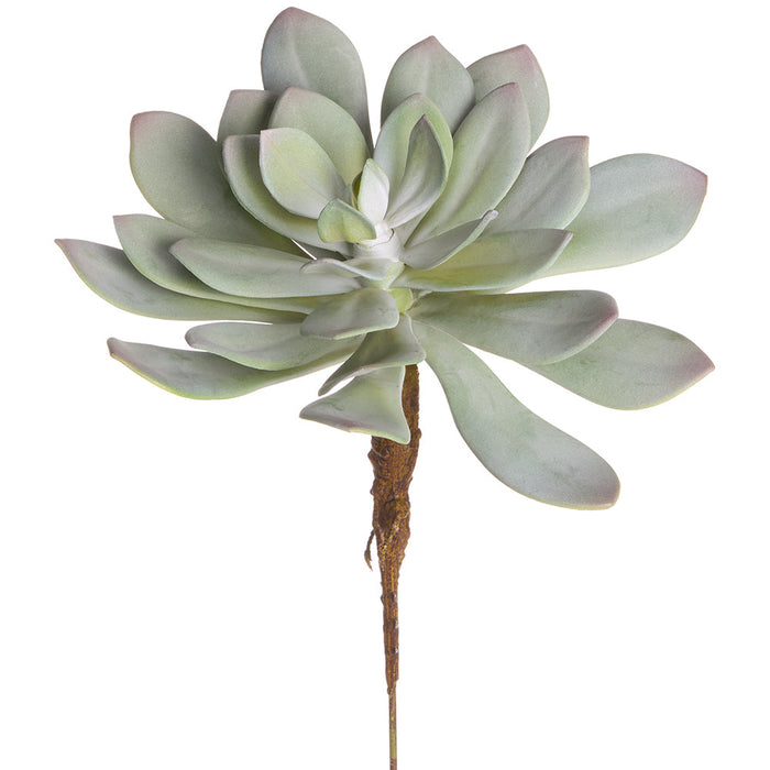 soft succulent plants Outdoor UV-Resistant Artificial PE Soft-Touch Aeonium Succulent Stem Pick — Silks Are Forever