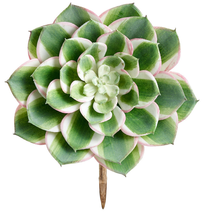 real succulents 7" Real Touch Sunburst Aeonium Succulent Artificial Stem Pick — Silks Are Forever