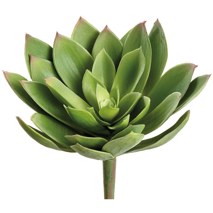 8" Real Touch Giant Aeonium Succulent Artificial Stem Pick -Green (Pack of 12) - CKA147-GR