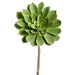 21" Real Touch Giant Aeonium Succulent Artificial Stem Pick -Green (Pack of 4) - CKA148-GR