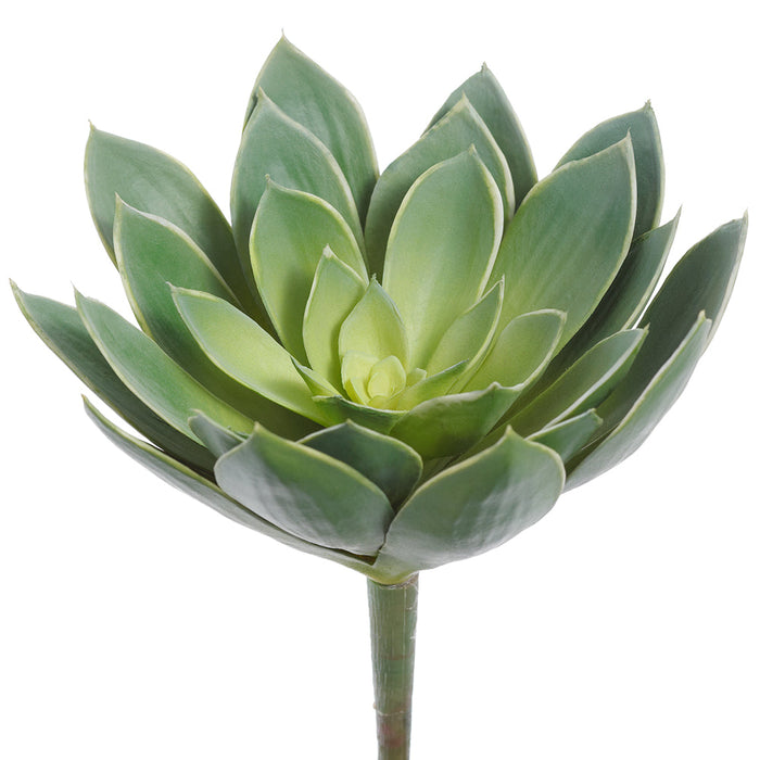 8" Real Touch Giant Aeonium Succulent Artificial Stem Pick -2 Tone Green (Pack of 12) - CKA149-GR/TT