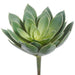 8" Real Touch Giant Aeonium Succulent Artificial Stem Pick -2 Tone Green (Pack of 12) - CKA149-GR/TT