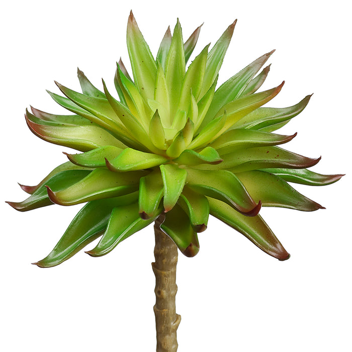 6" Real Touch Artificial Aeonium Stem Pick -Green/Burgundy (pack of 12) - CKA256-GR/BU