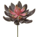 3.9" Aeonium Artificial Stem Pick -Eggplant/Mauve (Pack of 12) - CKA288-EP/MV