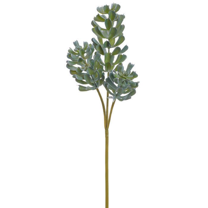 18" Aeonium Succulent Artificial Stem Pick -Green/Gray (Pack of 12) - CKA612-GR/GY