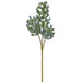 18" Aeonium Succulent Artificial Stem Pick -Green/Gray (Pack of 12) - CKA612-GR/GY
