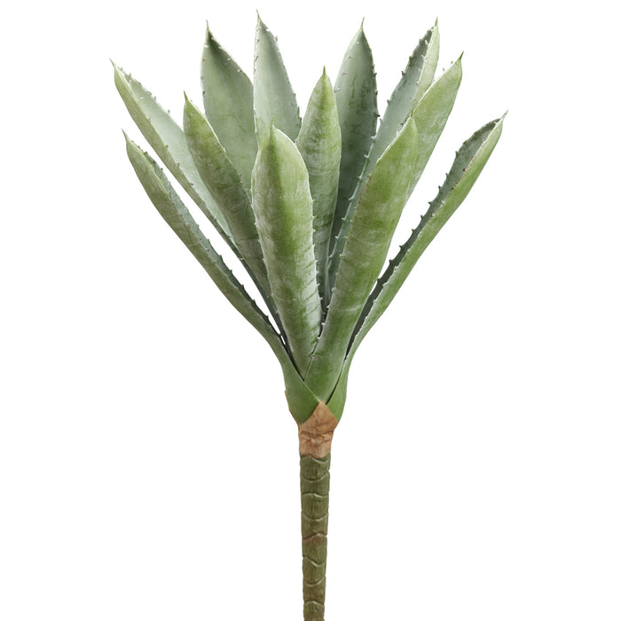 11.5" Real Touch Agave Succulent Artificial Stem Pick -Gray/Green (Pack of 12) - CKA709-GY/GR