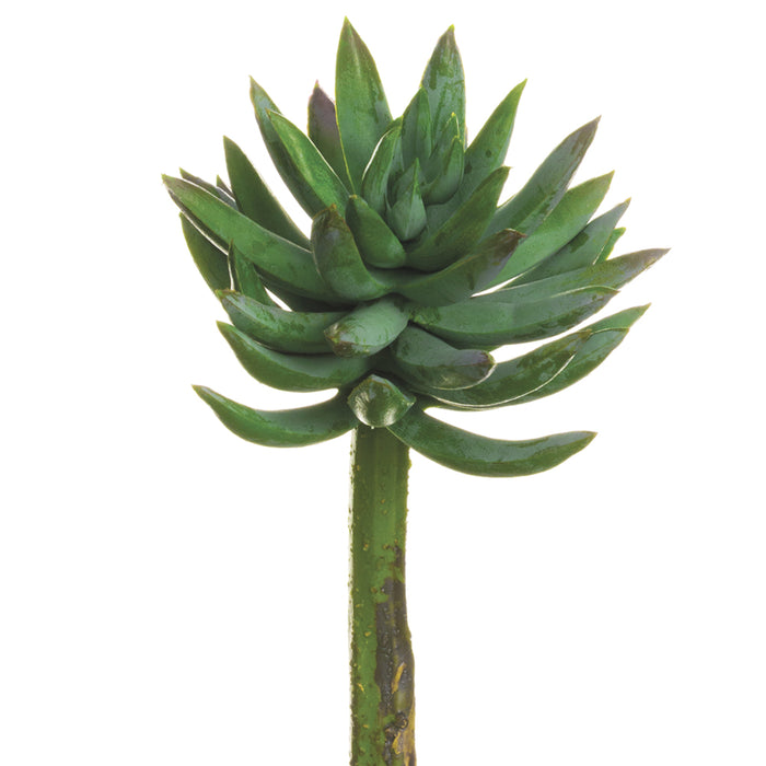 6" Mini Artificial Agave Stem Pick -Green (pack of 24) - CKA870-GR