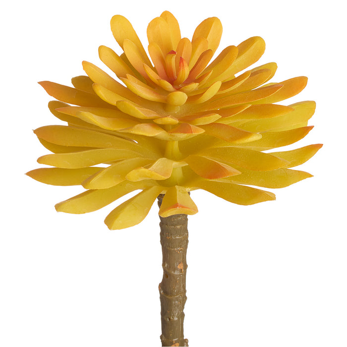 6" Soft Touch Aeonium Artificial Stem Pick -Yellow (pack of 12) - CKA940-YE