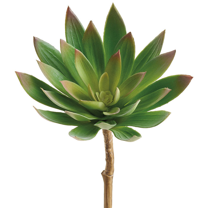 14" Outdoor UV-Resistant Artificial Echeveria Stem Pick -Green (Pack of 12) - CKE013-GR