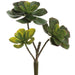 11" Outdoor UV-Resistant Artificial Echeveria Stem Pick -Green/Burgundy (Pack of 12) - CKE030-GR/BU