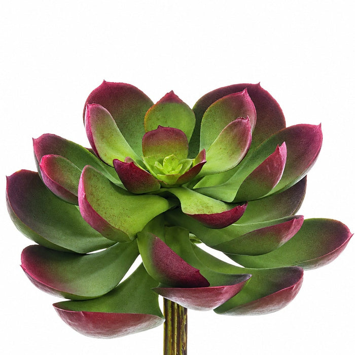 5"Hx6"W Real Touch Echeveria Artificial Stem Pick -Green/Burgundy (Pack of 12) - CKE038-GR/BU