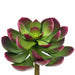 5"Hx6"W Real Touch Echeveria Artificial Stem Pick -Green/Burgundy (Pack of 12) - CKE038-GR/BU