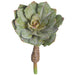 12"Hx11.5"W Outdoor UV-Resistant Artificial PE Soft-Touch Echeveria Succulent Stem Pick -Green (Pack of 8) - CKE094-GR