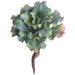 9.5" Outdoor UV-Resistant Artificial Echeveria Succulent Stem Pick -Green (Pack of 6) - CKE095-GR