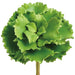 6.5" Real Touch Ruffled Echeveria Succulent Artificial Stem Pick -Green (Pack of 12) - CKE150-GR