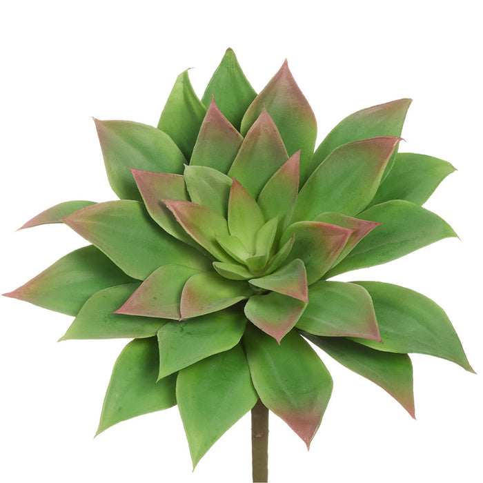 6" Outdoor UV-Resistant Artificial Real Touch Echeveria Stem Pick -Green/Fuchsia (Pack of 12) - CKE246-GR/FU