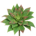6" Outdoor UV-Resistant Artificial Real Touch Echeveria Stem Pick -Green/Fuchsia (Pack of 12) - CKE246-GR/FU