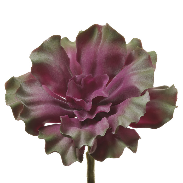 7" Curly Echeveria Artificial Stem Pick -Purple/Green (pack of 12) - CKE282-PU/GR