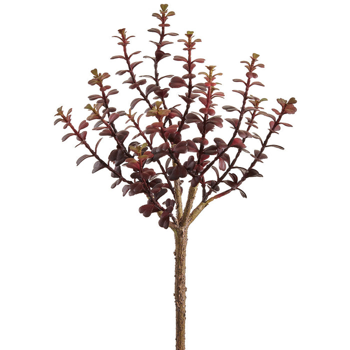 10" Outdoor UV-Resistant Artificial Jade Stem Pick -Burgundy (Pack of 12) - CKJ557-BU